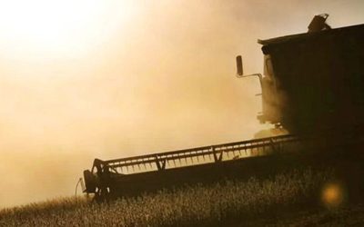 El contexto local y el clima atraviesan las decisiones en el agro