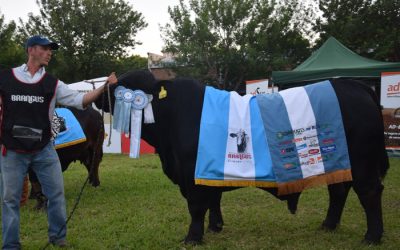 Las Nacionales de Brangus, Brahman y Caballos Criollos ya tienen fecha