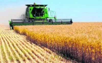 Cosecha: estrategias para maximizar su eficiencia