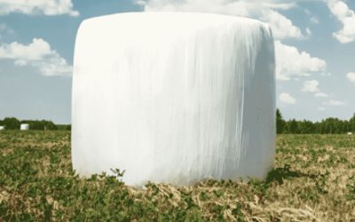 Que hacer con el rodeo en inviernos escasos de forraje