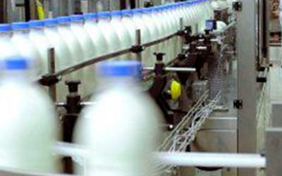 Lechería: proyectan un aumento del 0,6 % de la producción para 2022