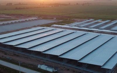 El Mercado Agro Ganadero de Cañuelas acelera la mudanza