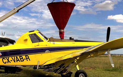 Cómo combatir las malezas resistentes siendo amigables con el medio ambiente.