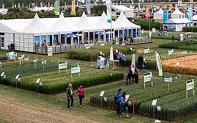 DLG Feldtage 2022, producción de cultivos al alcance de la mano.