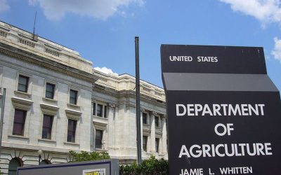 La producción de maíz de Estados Unidos cae y es más baja a la esperada.