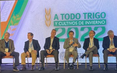 El trigo HB4 copó el debate en A Todo Trigo: las voces a favor y en contra.
