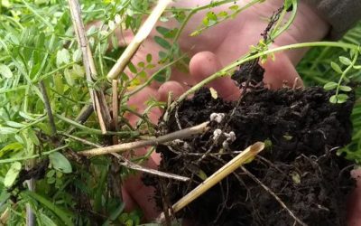 Rotaciones diversas: de la teoría a la práctica.