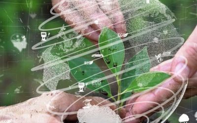 Más de 50.000 ha del Gran Chaco serán protagonistas de las buenas prácticas agrícolas y la conservación de bosques.