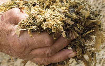 Se conocen los finalistas de la SuperCopa de Forrajes Conservados.