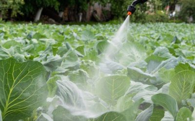 Herbicidas biológicos: una nueva opción para mejorar la nutrición de las plantas.
