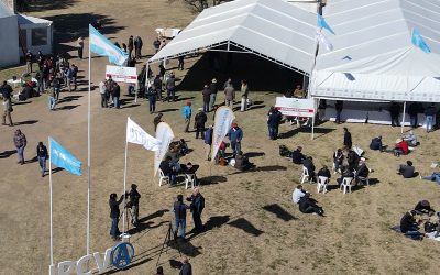 Una cría eficiente pensando en la góndola.