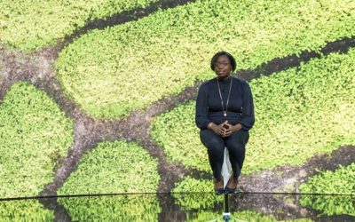 Agricultura ecológica y sostenibilidad, ante el reto de incrementar la producción.