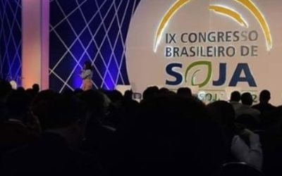 Perspectivas para las exportaciones de soja de Brasil y el Mercosur en el mercado internacional.