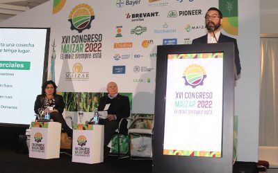 El Mercosur, un proveedor de alimentos en busca de un lugar en el nuevo mundo.