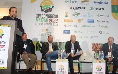 En lo ambiental, el agro también subsidia a los demás sectores: es el único sector que redujo sus emisiones.