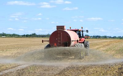 «Hay incertidumbre»: por la falta de dólares podría haber desabastecimiento de fertilizantes para la gruesa.