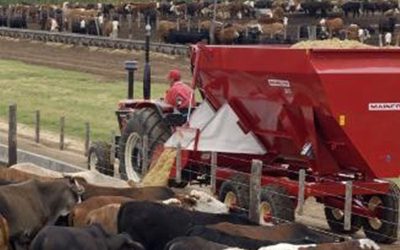 Mas allá de “algunos detalles”, la ganadería goza de buena salud.