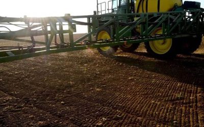 Glifosato: una agencia europea ratifica que no hay evidencia de que sea cancerígeno.