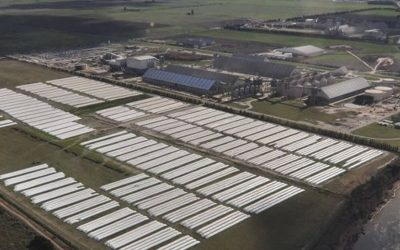 El agro cerró el primer semestre con el mayor aporte de dólares de la historia.