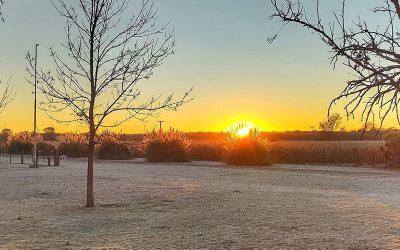 Entre los vientos del trópico y el aire polar: julio comienza con gran amplitud térmica.