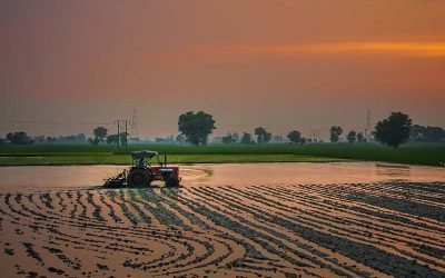 La Alianza Agrievolution analiza el impacto de la coyuntura internacional en los mercados de maquinaria agropecuaria.