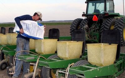 Una campaña con menos fertilizantes: la importación de urea cayó 27% en el primer semestre.