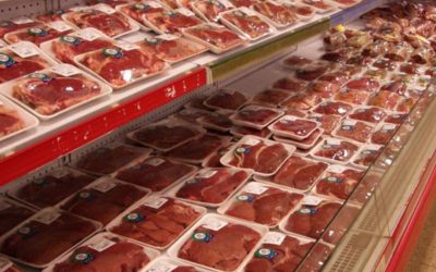 Carne de laboratorio a partir de células madre de animales vivos.