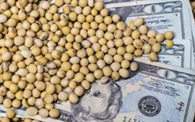 El dólar soja, para especuladores, no para productores
