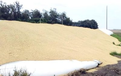 Rurales en alerta: piden extremar las medidas de seguridad para evitar ataques a silobolsas.