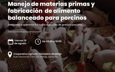 Manejo de materias primas y fabricación de alimento balanceado para Porcino.