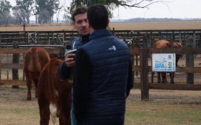 Se lanzó la 6° edición del programa de Buenas Prácticas Agropecuarias.