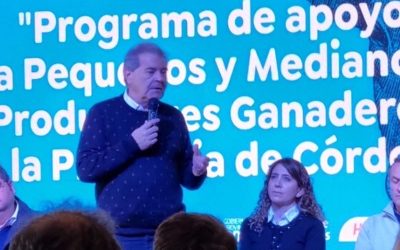 La Provincia lanzó financiamiento de $ 500 millones para productores ganaderos.
