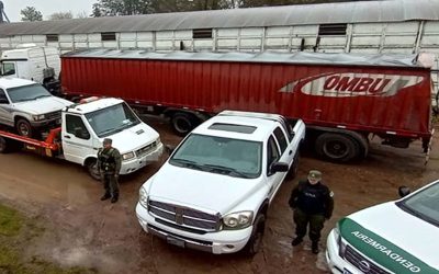 Detienen banda que “blanqueaba” la compra de cereales con cartas de porte adulteradas.