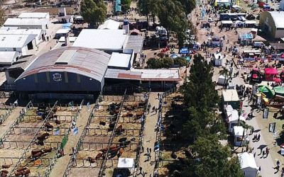 ‘‘Córdoba Vidriera Productiva”, presente en la Expo Rural de Jesús María.