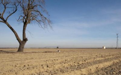 ¿Podrá suceder en 2022 que hubiera una tercera Niña consecutiva? Los expertos no terminan de ponerse de acuerdo, pero lo temen.