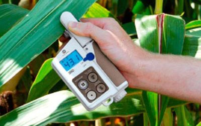 Medidor de clorofila: instrumento para medir las condiciones de crecimiento de las plantas de forma no destructiva.