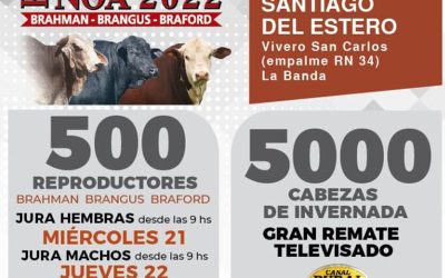 Comienza EXPOBRA 2022