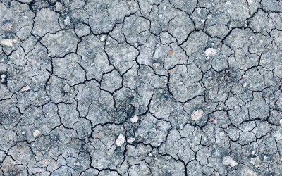 El CAA alerta sobre el riesgo de la sequía y de la falta de legislación preventiva.