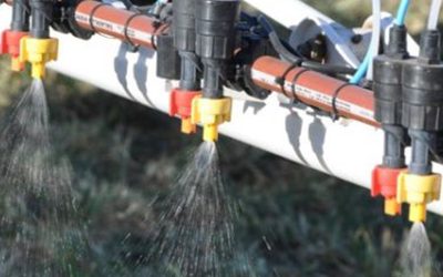 INTA se posicionó sobre el uso de agroquímicos: “La agricultura argentina no puede prescindir de ellos sin poner en riesgo la producción”.