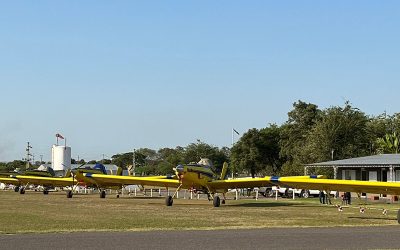 El avión, la herramienta más eficaz para el control de langostas.