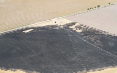 Le prendieron fuego un campo de trigo: “Salen a quemar comida, trabajo y dinero”