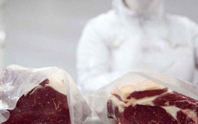 Por primera vez en 20 años: avanza el proceso para volver exportar carne bovina a México.