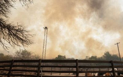 Incendios: Córdoba solicitó a Nación homologar el decreto de emergencia agropecuaria.