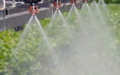 Con el ojo puesto en la deriva.