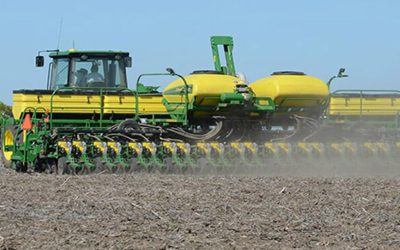 Córdoba: sólo 15% del maíz se sembró en fecha temprana