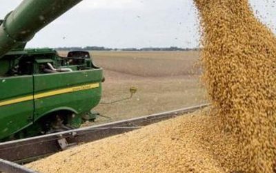 Las últimas lluvias despejaron los peores escenarios de cosecha en soja y maíz