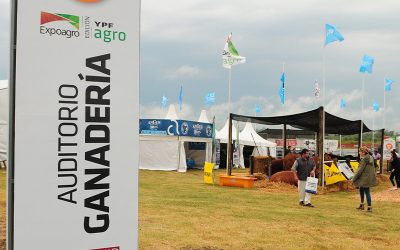 La carne argentina prepara su espacio para mostrar toda su potencialidad