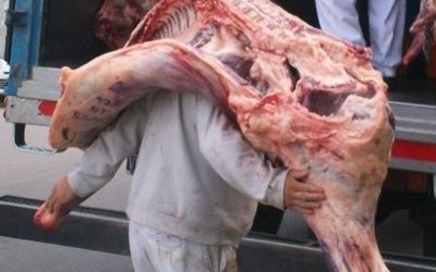 Carnes: Hubo marcha atrás con la obligatoriedad del troceo, pero no se podrá cargar más al hombro la media res