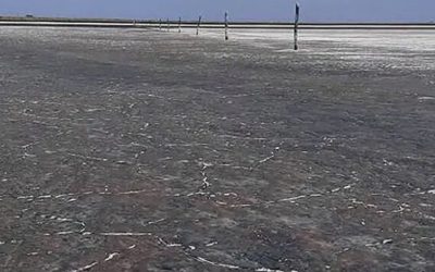 Sequía en el sur de Córdoba: una laguna se quedó sin agua y perdió su flora y su fauna