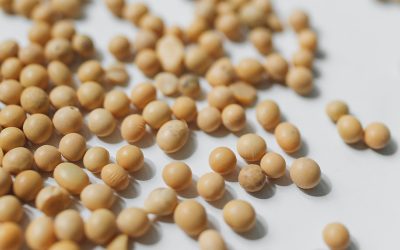 AcSoja alerta sobre el duro momento que atraviesa la soja y su cadena de valor.